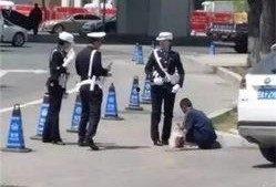 长春交警最新爆料,揭秘交通违法背后的惊人真相