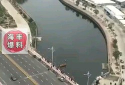 海丰爆料最新消息,最新动态揭秘，热点事件追踪