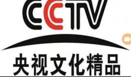 中央新闻13频道爆料视频,揭秘重大事件内幕