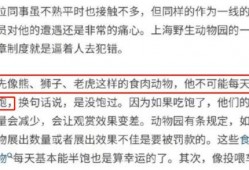 郑州员工爆料事件视频曝光,揭露职场黑暗面