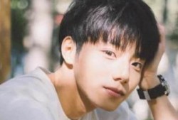 李振宁每日爆料新闻视频,揭秘娱乐圈幕后真相