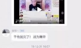 陈温柔视频爆料,揭秘娱乐圈惊人内幕