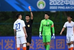 泰山郝伟爆料案件最新,揭秘背后惊人真相