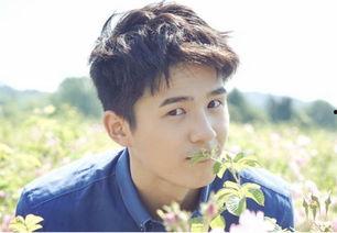 娱乐圈众人吃瓜张一山杨紫