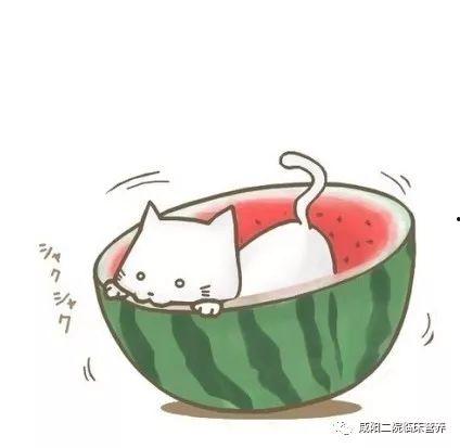 娱乐吃瓜头像图片图文大全