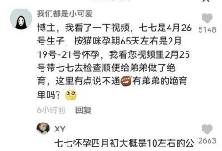 抖音吃瓜娱乐博主是谁呀,揭秘幕后故事