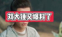 刘大锤爆料古偶视频合集,古偶视频合集，带你穿越时空的浪漫之旅