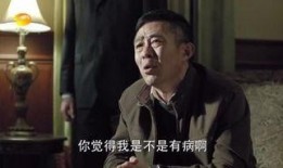 名义在线观看全集,揭秘热门剧集的在线观看全记录