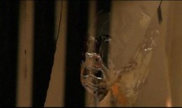 透明人2手机在线观看