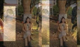 浦团在线观看,探索无限精彩，畅享视听盛宴