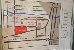 沈阳本地人爆料天涯视频,天涯视频背后的真实故事