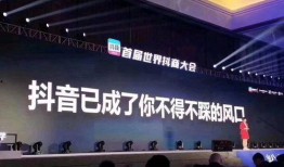 科技视频爆料软件,最新爆料软件深度解析