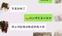 搞笑小孩对话爆料大全视频,搞笑小孩对话集锦揭秘