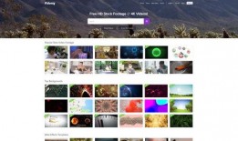 小吃爆料视频素材,跟随爆料视频探寻美食背后的故事