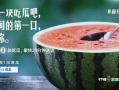 免费吃瓜qq郡,揭秘网络社交新潮流