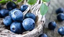 娱乐吃瓜酱母亲吃蓝莓