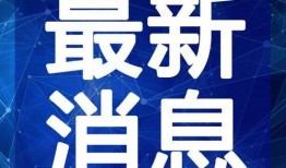 美食斌哥爆料视频大全最新,揭秘网红美食背后的秘密与风味
