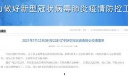 沈阳的今天新闻最新爆料,神秘事件引发社会关注