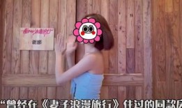 谢娜酒店爆料视频播放,揭秘明星私生活幕后真相