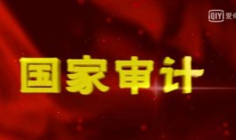 电视剧国家审计在线观看,揭秘在线观看的审计传奇