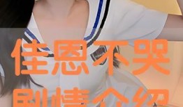 佳恩别哭全集在线观看,感人至深的情感之旅