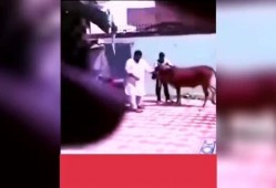 爆料视频搞笑大全,搞笑大全，笑点满满，笑到肚子疼！