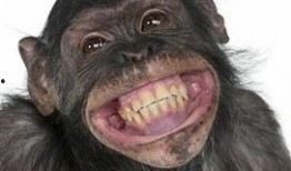 嘴像猩猩一样吃瓜的网红,吃瓜姿势引网友热议