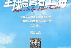 日本高管爆料视频播放,视频播放背后的惊人真相