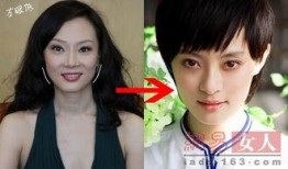 陈数最新爆料新闻,揭秘娱乐圈不为人知的秘密