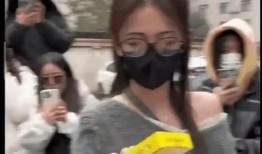 文安吃瓜爆料视频全集,揭秘视频全集精彩瞬间