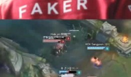 爆料好玩的视频,盘点那些让人捧腹大笑的爆笑瞬间