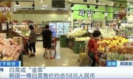 韩国泡菜爆料事件视频,真相与争议全解析