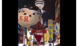 爆料奇特视频大全,奇特视频大全背后的神秘世界