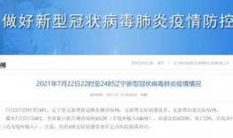 沈阳的今天新闻最新爆料,神秘事件引发社会关注