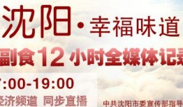沈阳的今天新闻最新爆料,神秘事件引发社会关注