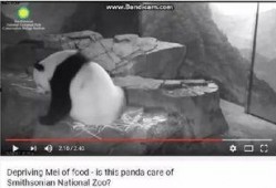 美国网友爆料地球人视频,美国网友曝光地球人神秘视频引发全球热议