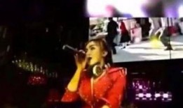 李子柒夜店爆料视频,揭秘网红背后的真实生活