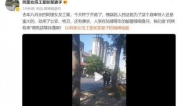 热门冤案爆料视频,热门爆料视频背后的惊人内幕
