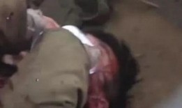 最新恐怖吃瓜爆料新闻视频