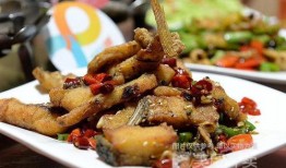 美食斌哥爆料视频大全