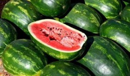 最真实网红吃瓜图片,真实画面曝光，网友直呼太辣眼！