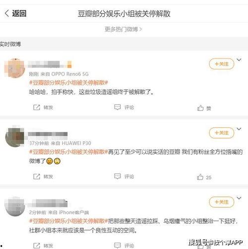娱乐吃瓜酱评论区在哪,热门话题背后的热议焦点”